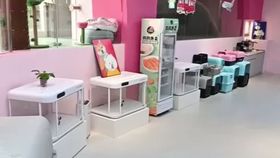 VIDEO Se deschide primul terminal pentru animale de companie